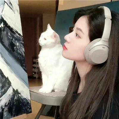 我的助理不简单